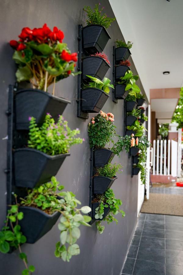 Local White House - Ecofriendly Homestay Дананг Экстерьер фото